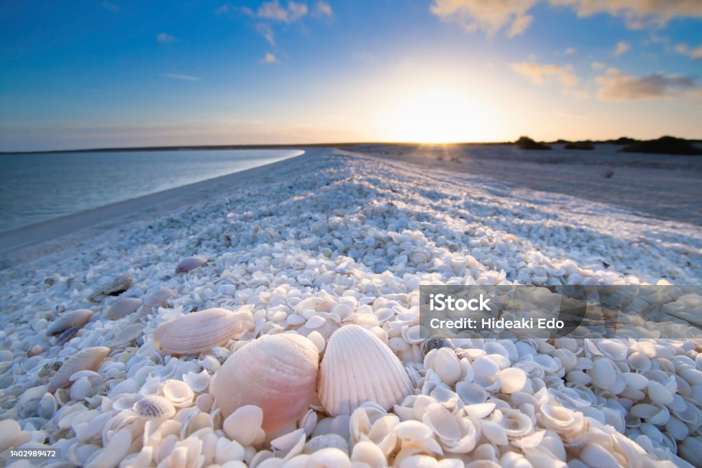 Summer holiday sunrise in Shell Beach Western Australia Adventure Stock Photo
