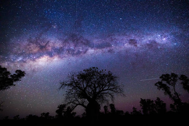 дерево боаба и млечный путь в кимберли, западная австралия - stars in your eyes стоковые фото и изображения