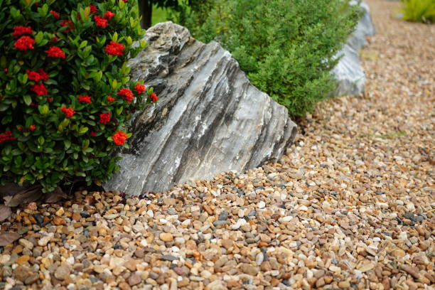 natural background with shrubby plants and pebbles