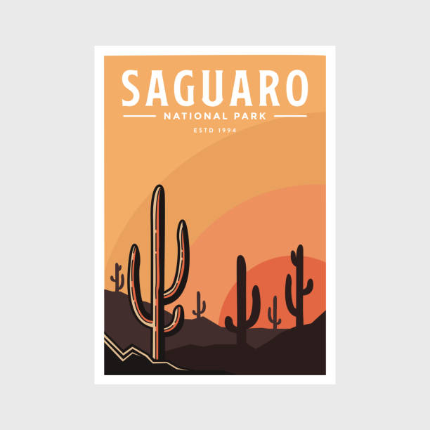 plakat parku narodowego saguaro projekt ilustracji wektorowej - sonoran desert illustrations stock illustrations