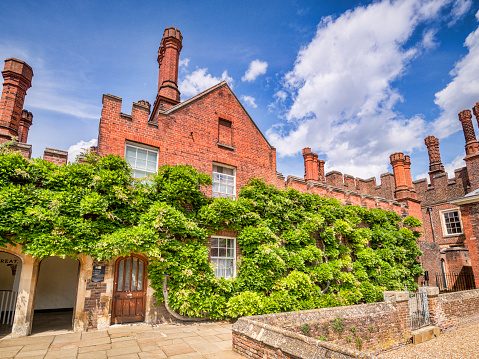 9 June 2019: Richmond upon Thames, London, UK -  The exterior part of the Great Vine at Hampton Court Palace, the former royal residence in West London.