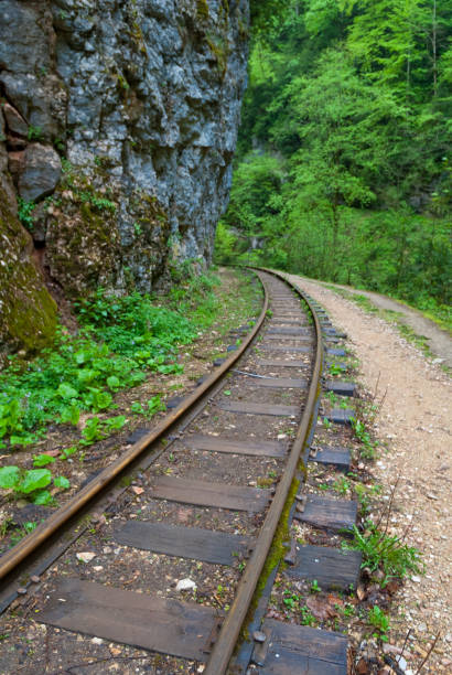 istock railway in a mountain canyon 1403001106