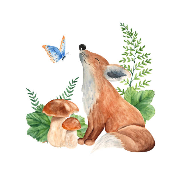 ilustrações, clipart, desenhos animados e ícones de raposa bebê bonito com borboleta, cogumelos e folhas verdes. ilustração de aquarela da floresta infantil. - mushroom edible mushroom red botany