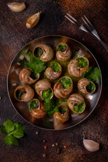 istock Bourgogne Escargot Snails with herb garlic oil. 1403003225