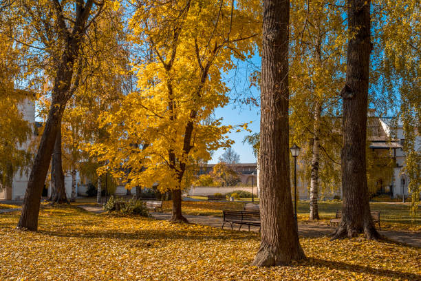 istock Colorful foliage in the autumn park 1403003386
