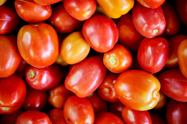 Vibrant red tomatoes, freshly harvested, fill a wooden crate at a bustling farmer's market, attracting enthusiastic visitors on a sunny summer day. The aroma of fresh produce fills the air.