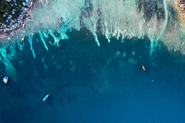 istock islands and tropical blue bays, bird's eye view 1403004831