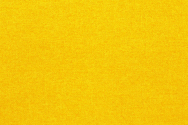 Gray Shadow of the Leaves on a Yellow Wall