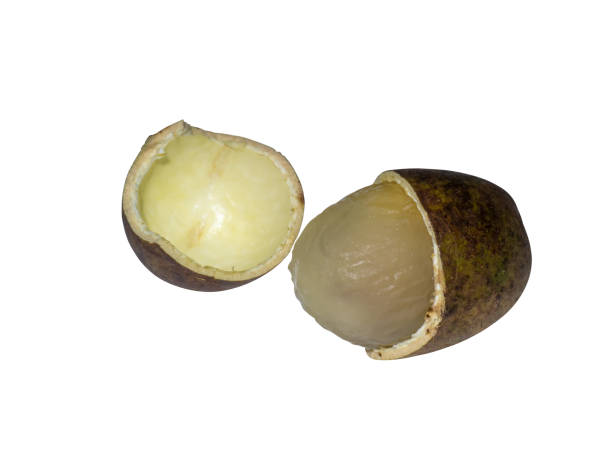 istock Close up of matoa fruit on white background. 1403009047