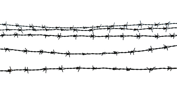 Barbed wire. Fence with barbed wire. Holocaust. Concentration camp. Prisoners. Border fence. Depressive.  isolated on white background
