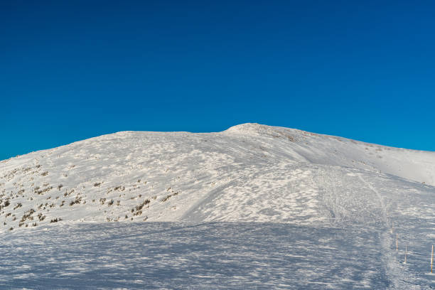 Durkova hill in winter Nizke Tatry mountains in Slovakia Durkova hill in Nizke Tatry mountains in Slovakia during winter day with clear sky durkova stock pictures, royalty-free photos & images