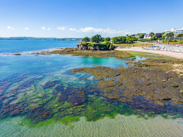 istock Seaweed covered rocks and beach in Torquay 1403014052