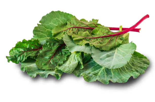 Cabbage and beetroot leaves isolated in white background. Healthy and diet food.