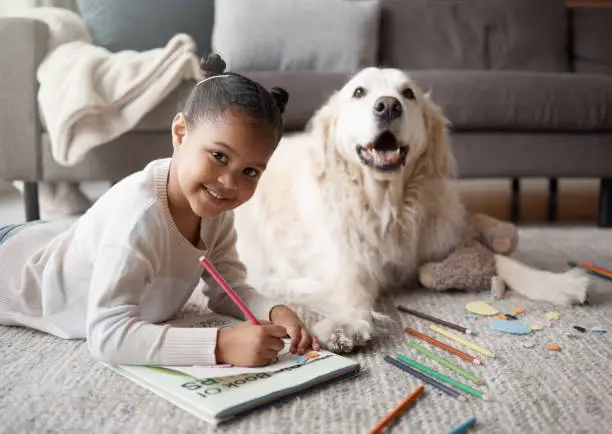 Photo of Sweet little mixed race child doing her homework while lying on the living room carpet with her puppy. Child colouring while bonding with her emotional  support rescue dog