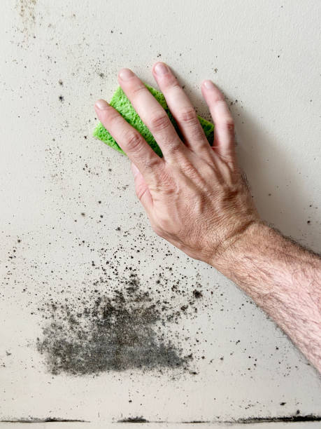 istock Hand cleaning mold on the wall with cleaning sponge 1403025487