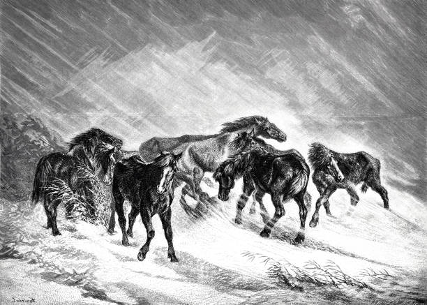 Illustration from 19th century.