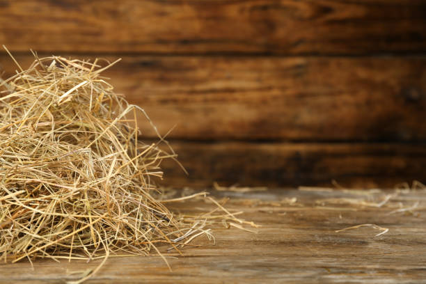 istock Heap of dried hay on wooden table. Space for text 1403029090