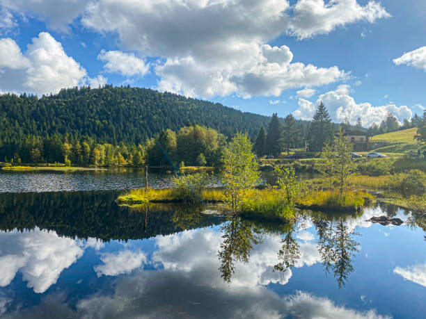 belle nuvole riflesse nell'acqua del lago lispach nella bresse, vosgi - bresse foto e immagini stock