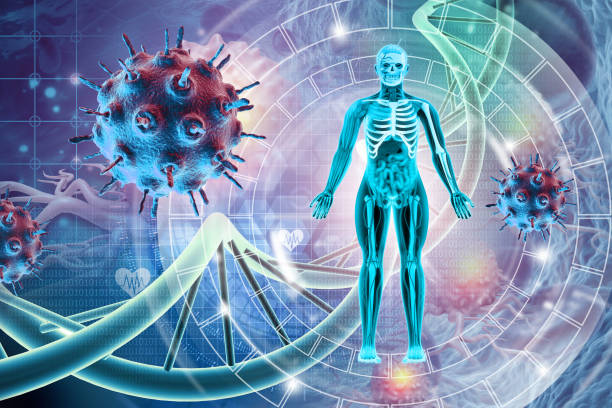 istock Human body anatomy with dna structure on science background. 3d illustration 1403030187