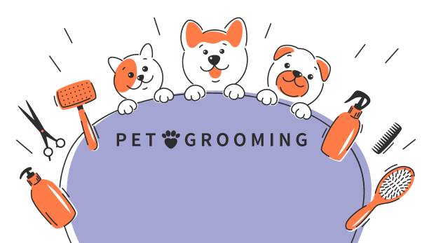 Grooming 09 Pet grooming. Cartoon dogs and cat with different tools for animal hair grooming, haircuts, bathing, hygiene. Vector illustration for pet care salon. pomeranian dog taking a bath stock illustrations