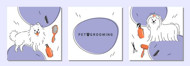 Grooming 20 Pet grooming. Set of design for pet care salon. Cartoon dogs character with different tools for animal hair grooming. Vector illustration pomeranian dog taking a bath stock illustrations
