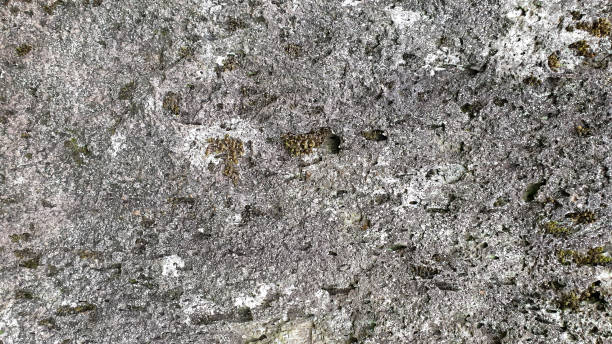 istock gray concrete wall surface, structure, urban, city, background, cement, stone texture. 1403032743