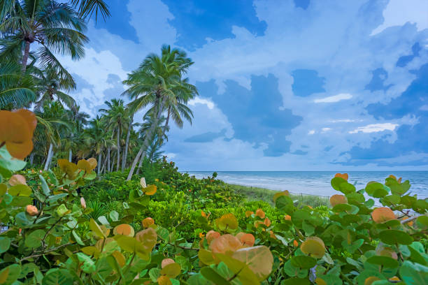A tranquil coastal scene featuring a large, fallen tree leaning toward the water on a sandy beach. Clear blue sky, calm sea, and natural driftwood create a peaceful, scenic composition.