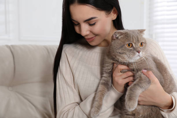 istock Woman with her adorable cat on sofa at home 1403033277