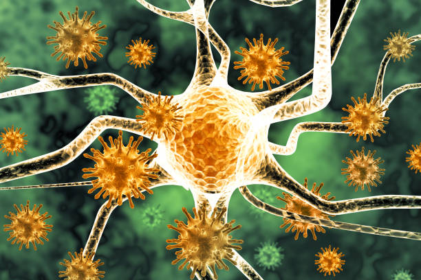 istock Viruses infecting neurons, brain infection concept, neuronal destruction, 3d illustration 1403035019