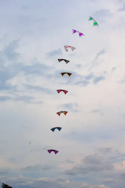 Nine individual kites follow each other in a perfect ballet.