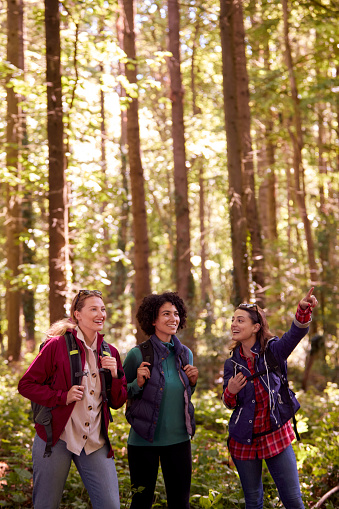 Portrait Of Female Friends On Camping Holiday Hiking Through Woods And Enjoying Nature Together