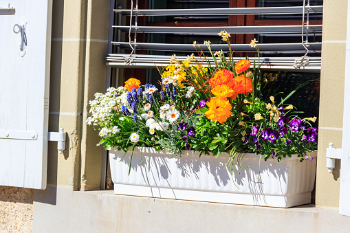 Facade of a house in Arles,Provence.The painter van Gogh lived in this city.