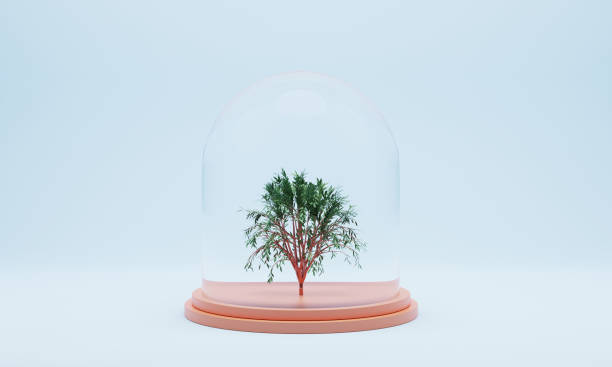istock Tree in a glass jar on a podium 1403040867