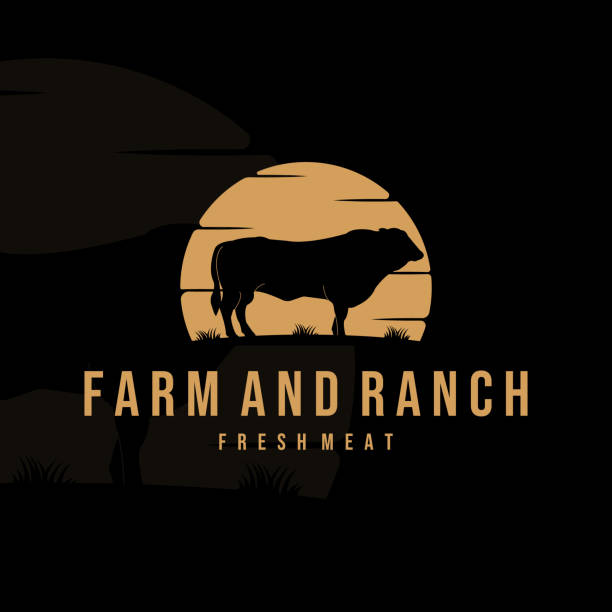 farm ranch and livestock  vintage vector illustration template icon design. cow or buffalo label for butcher or butchery business concept emblem design farm ranch and livestock  vintage vector illustration template icon design. cow or buffalo label for butcher or butchery business concept emblem design aberdeen angus cattle stock illustrations