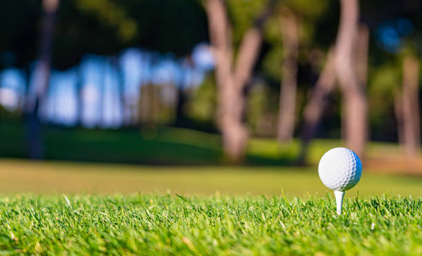 istock Golf ball on a tee on the grass before the first shot 1403043851
