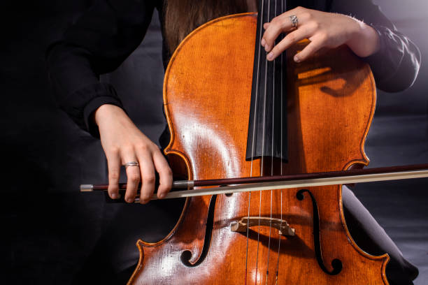 ソナタを演奏する美しい女の子のチェリスト - violin family ストックフォトと画像