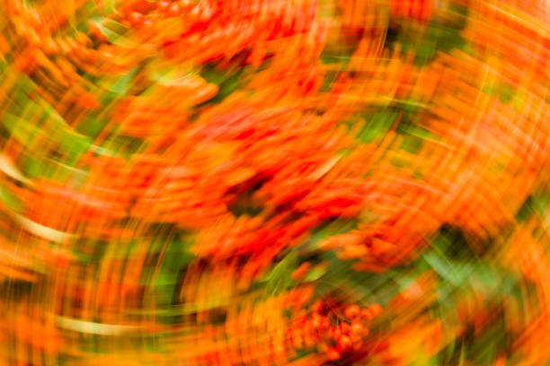 istock Horning walk I. Autumn colour abstract i 1403046944