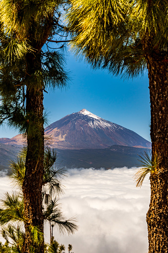 Landscape with the peak of Teide in the background on the island of Tenerife, Canary Islands.