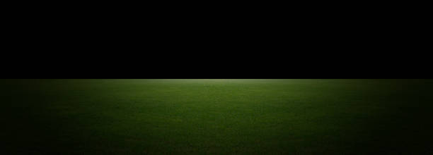 istock Green grass field and Empty dark landscape background for display products 1403054762