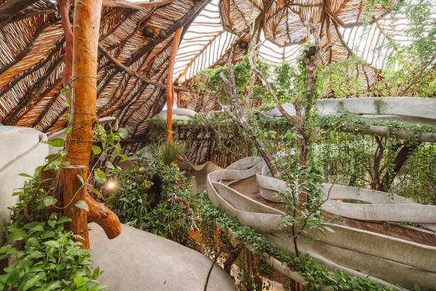 istock Treehouse that feels like wonderland 1403056157