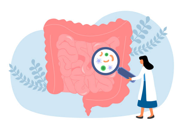 illustrations, cliparts, dessins animés et icônes de illustration vectorielle du concept d’infection bactérienne intestinale. - infection du tube intestinal