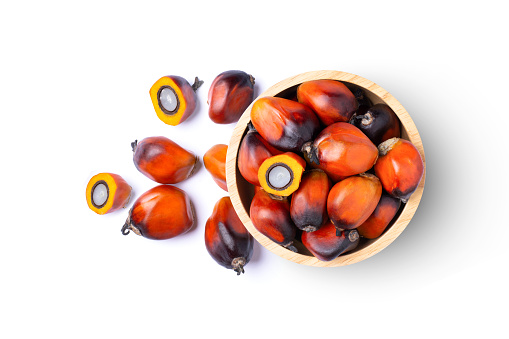 Oil palm fruit and cut in half sliced in wooden bowl isolated on white background. Top view. Flat lay.
