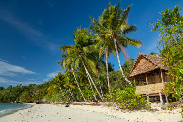 istock Humble hut, peeking through the tall coconut palms, Indonesia 1403060361