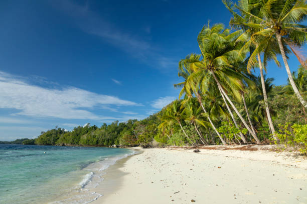 istock A lonely white coral sand beach, West Papua, Indonesia 1403060397