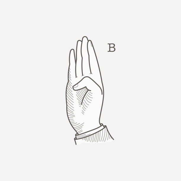 logo litery b w alfabecie głuchoniemej dłoni. - sign language american sign language human hand deaf stock illustrations