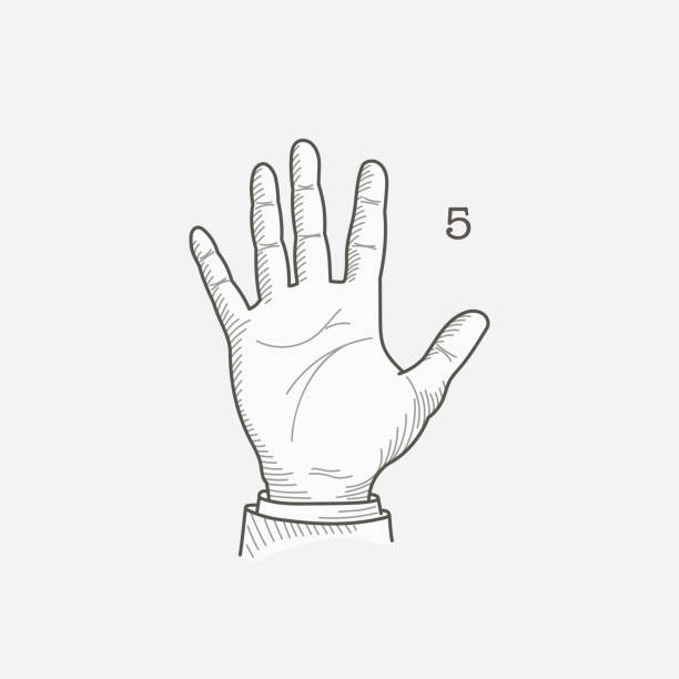illustrations, cliparts, dessins animés et icônes de logo numéro cinq dans un alphabet sourd-muet des gestes de la main. - sign language american sign language human hand deaf