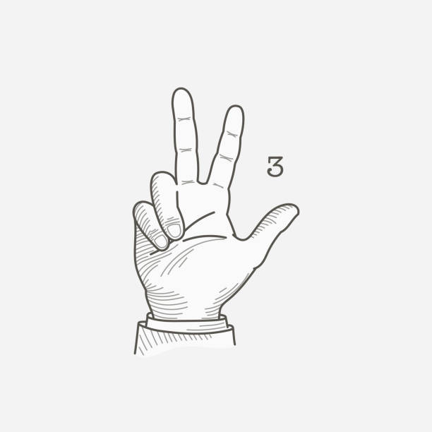 illustrations, cliparts, dessins animés et icônes de logo numéro trois dans un alphabet gestuel sourd-muet de la main. - sign language american sign language human hand deaf