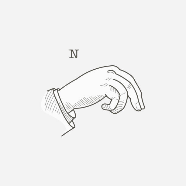 illustrations, cliparts, dessins animés et icônes de logo de n lettres dans un alphabet gestuel sourd-muet de la main. - sign language american sign language human hand deaf