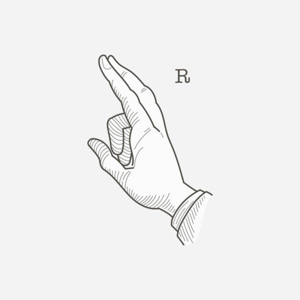 ilustrações de stock, clip art, desenhos animados e ícones de r letter logo in a deaf-mute hand gesture alphabet. - sign language american sign language text human hand