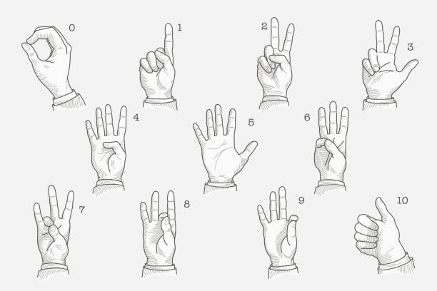 liczby ustawione w alfabecie głuchoniemych gestów dłoni. - sign language american sign language human hand deaf stock illustrations